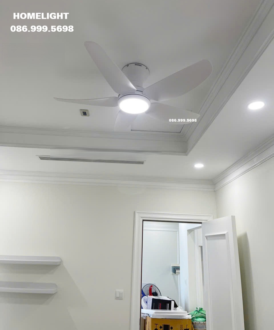Quạt trần đèn HL Fan 513T